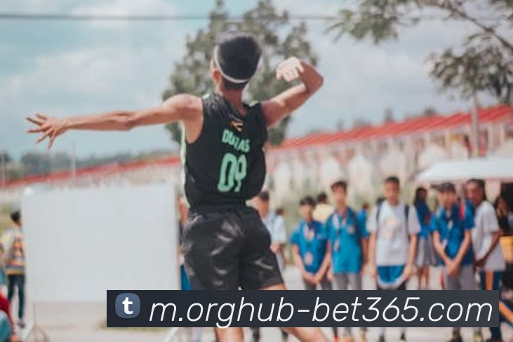 bet365平台生态图