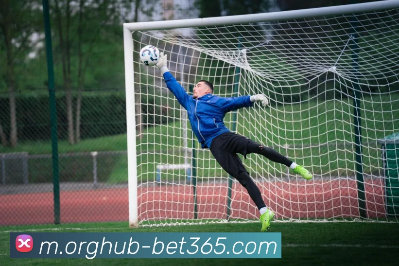 辅助工具 辅助工具